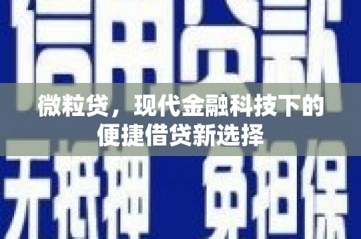 大兴安岭微粒贷，现代金融科技下的便捷借贷新选择