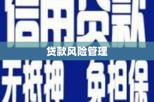 大兴安岭贷款风险管理