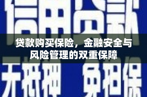 大兴安岭贷款购买保险，金融安全与风险管理的双重保障