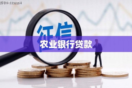 大兴安岭农业银行贷款