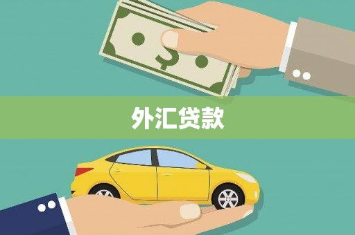 大兴安岭外汇贷款