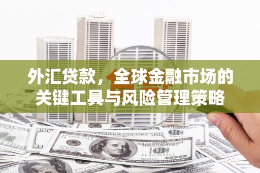 大兴安岭外汇贷款，全球金融市场的关键工具与风险管理策略