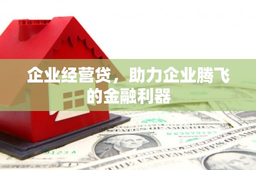 大兴安岭企业经营贷，助力企业腾飞的金融利器