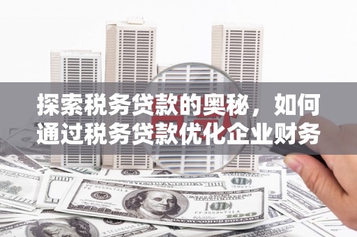 大兴安岭探索税务贷款的奥秘，如何通过税务贷款优化企业财务