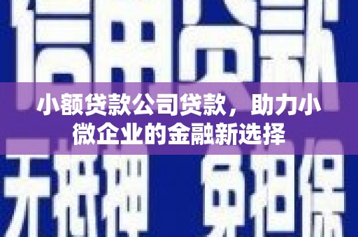 大兴安岭小额贷款公司贷款，助力小微企业的金融新选择