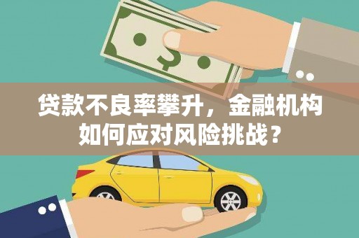 大兴安岭贷款不良率攀升，金融机构如何应对风险挑战？
