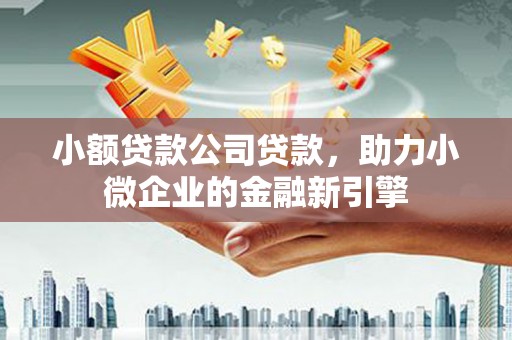 大兴安岭小额贷款公司贷款，助力小微企业的金融新引擎