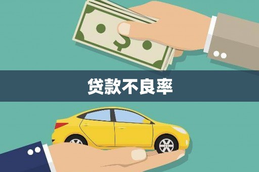 大兴安岭贷款不良率