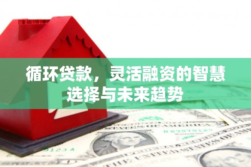 大兴安岭循环贷款，灵活融资的智慧选择与未来趋势