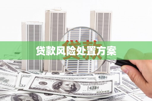 大兴安岭贷款风险处置方案