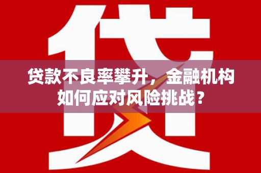 大兴安岭贷款不良率攀升，金融机构如何应对风险挑战？