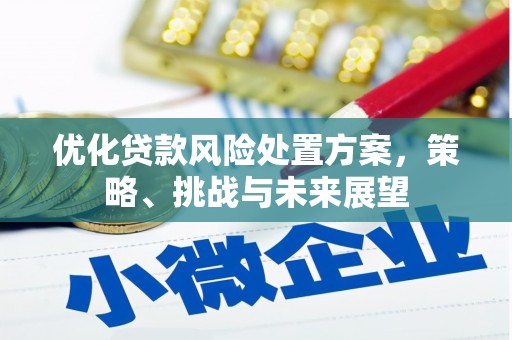 大兴安岭优化贷款风险处置方案，策略、挑战与未来展望