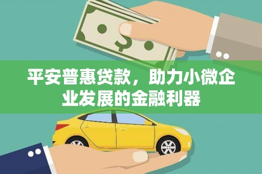 大兴安岭平安普惠贷款，助力小微企业发展的金融利器