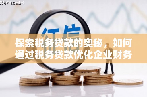 大兴安岭探索税务贷款的奥秘，如何通过税务贷款优化企业财务