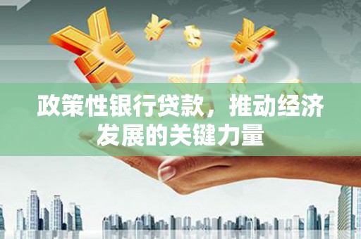 大兴安岭政策性银行贷款，推动经济发展的关键力量