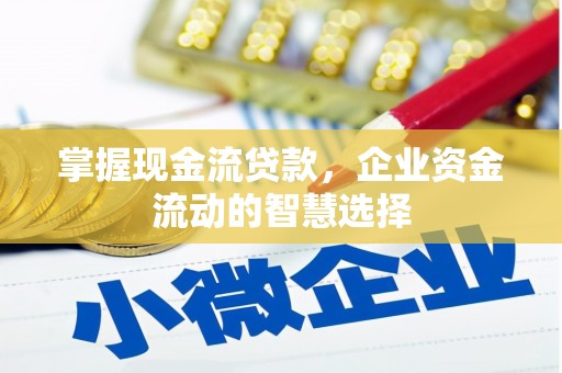 大兴安岭掌握现金流贷款，企业资金流动的智慧选择