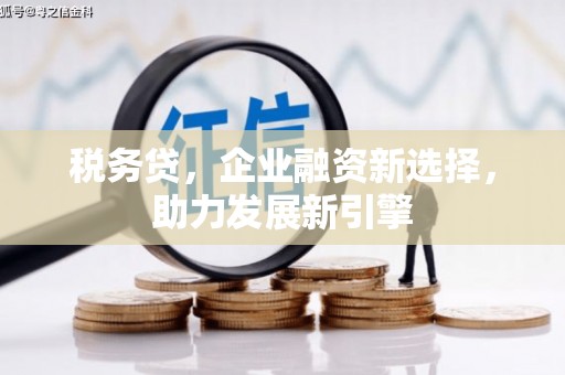 大兴安岭税务贷，企业融资新选择，助力发展新引擎