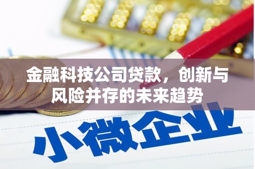 大兴安岭金融科技公司贷款，创新与风险并存的未来趋势