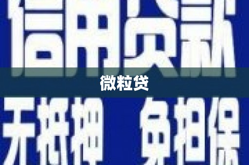 大兴安岭微粒贷