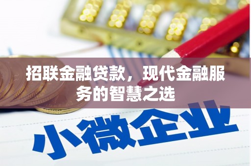 大兴安岭招联金融贷款，现代金融服务的智慧之选
