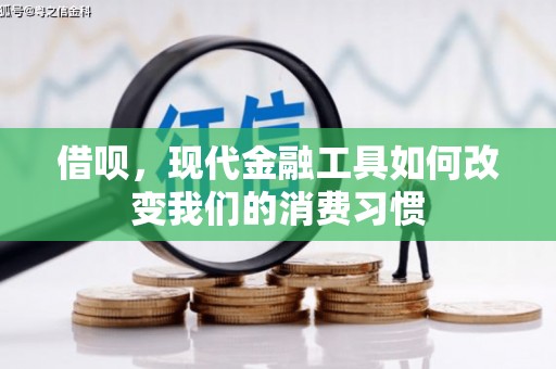 大兴安岭借呗，现代金融工具如何改变我们的消费习惯