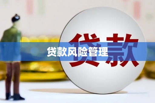 大兴安岭贷款风险管理