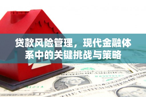 大兴安岭贷款风险管理，现代金融体系中的关键挑战与策略