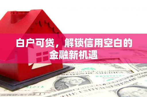 大兴安岭白户可贷，解锁信用空白的金融新机遇