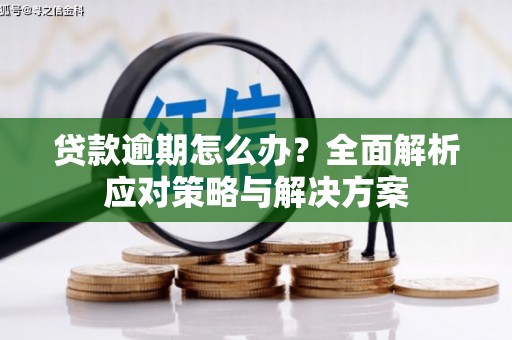 大兴安岭贷款逾期怎么办？全面解析应对策略与解决方案