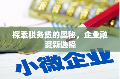 大兴安岭探索税务贷的奥秘，企业融资新选择