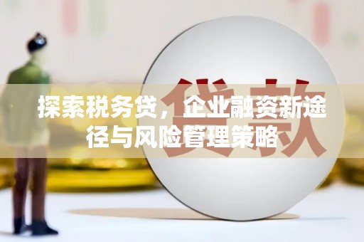 大兴安岭探索税务贷，企业融资新途径与风险管理策略
