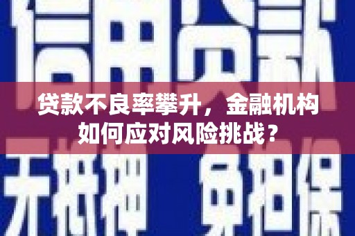大兴安岭贷款不良率攀升，金融机构如何应对风险挑战？