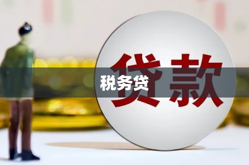 大兴安岭税务贷