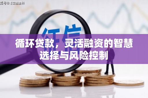 大兴安岭循环贷款，灵活融资的智慧选择与风险控制
