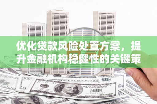 大兴安岭优化贷款风险处置方案，提升金融机构稳健性的关键策略