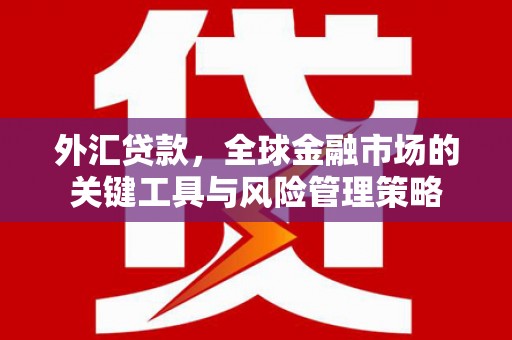 大兴安岭外汇贷款，全球金融市场的关键工具与风险管理策略
