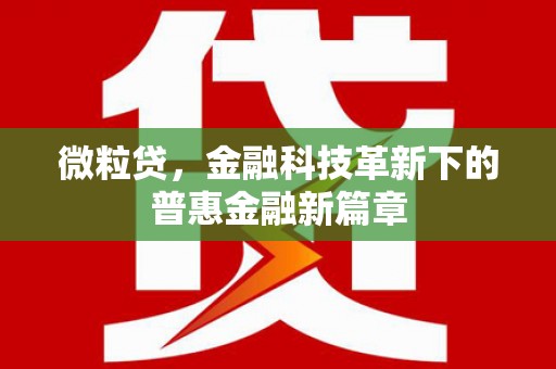 大兴安岭微粒贷，金融科技革新下的普惠金融新篇章