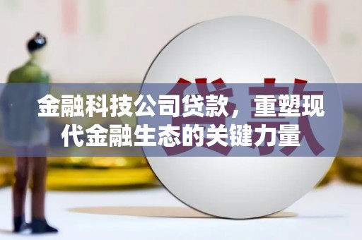 大兴安岭金融科技公司贷款，重塑现代金融生态的关键力量