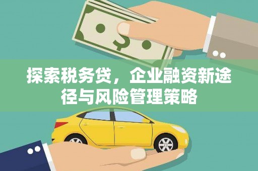 大兴安岭探索税务贷，企业融资新途径与风险管理策略