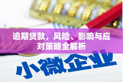 大兴安岭逾期贷款，风险、影响与应对策略全解析