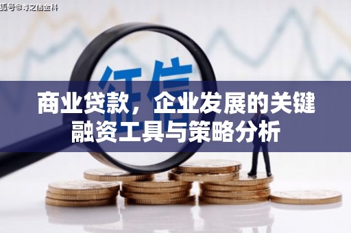 大兴安岭商业贷款，企业发展的关键融资工具与策略分析