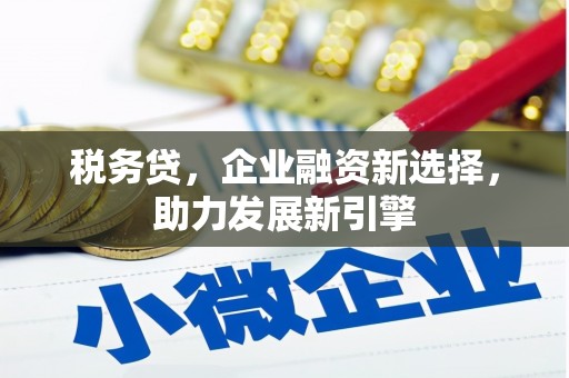 大兴安岭税务贷，企业融资新选择，助力发展新引擎