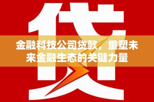 大兴安岭金融科技公司贷款，重塑未来金融生态的关键力量