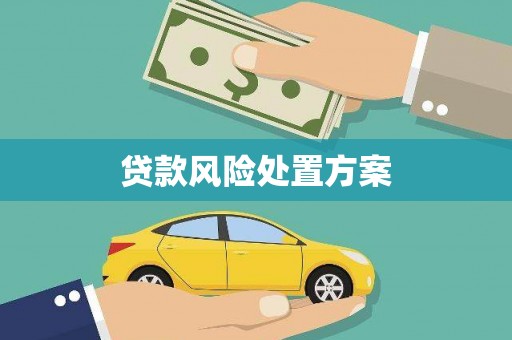 大兴安岭贷款风险处置方案