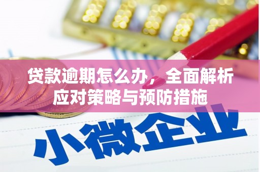 大兴安岭贷款逾期怎么办，全面解析应对策略与预防措施