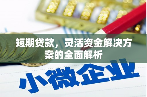 大兴安岭短期贷款，灵活资金解决方案的全面解析