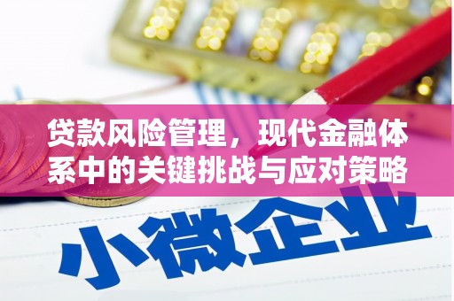 大兴安岭贷款风险管理，现代金融体系中的关键挑战与应对策略