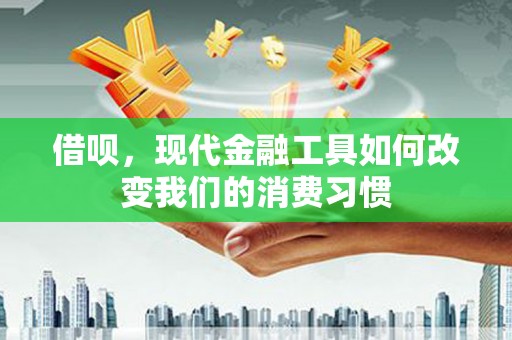 大兴安岭借呗，现代金融工具如何改变我们的消费习惯
