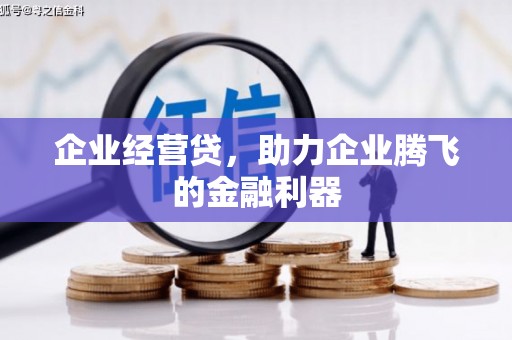 大兴安岭企业经营贷，助力企业腾飞的金融利器