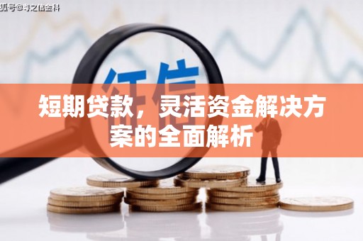 大兴安岭短期贷款，灵活资金解决方案的全面解析